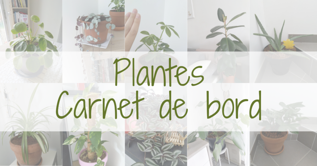 Plantes - Carnet de bord - Chaparpille