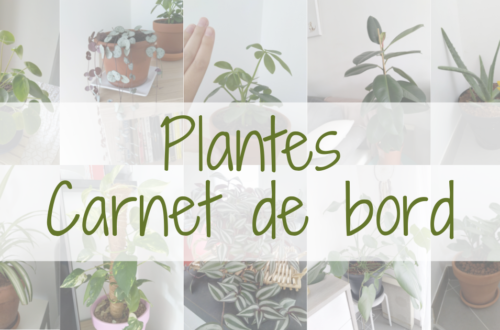 Plantes - Carnet de bord - Chaparpille