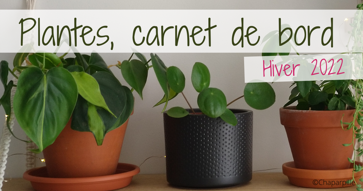 Chaparpille - Carnet de bord plantes - hiver 2022